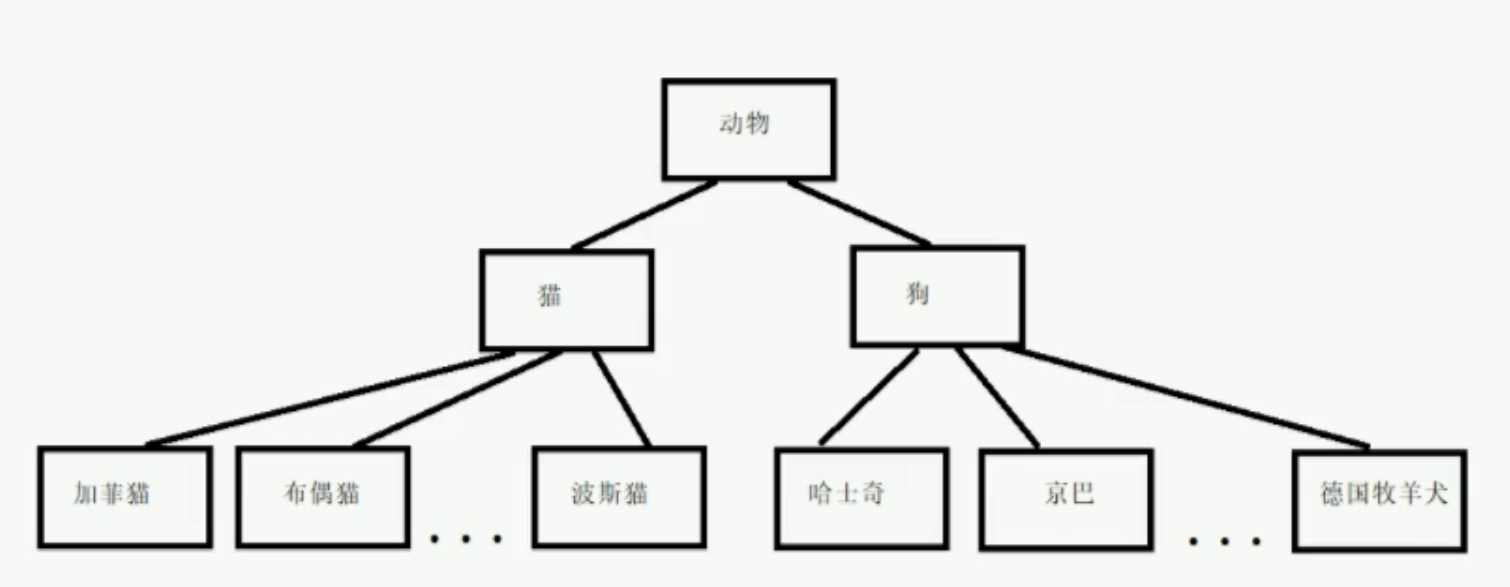 image-20241225203438189