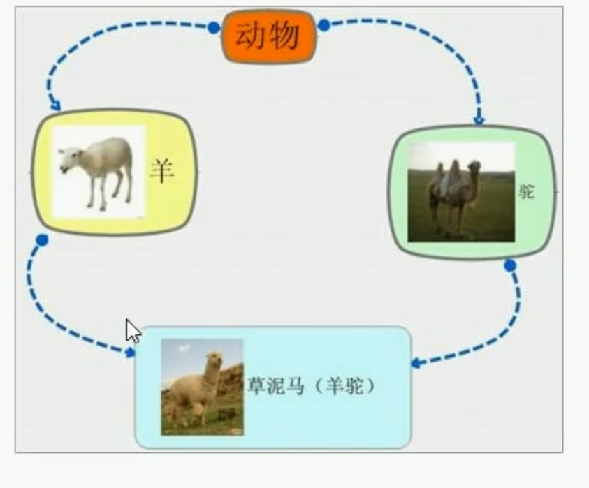 image-20241225225406058